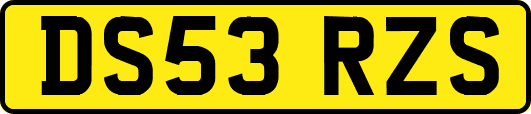 DS53RZS