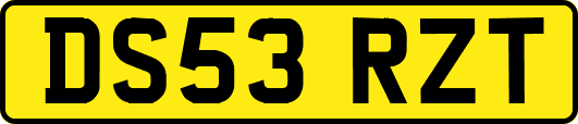 DS53RZT