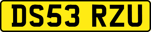 DS53RZU