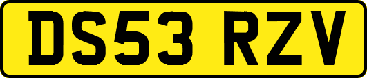 DS53RZV