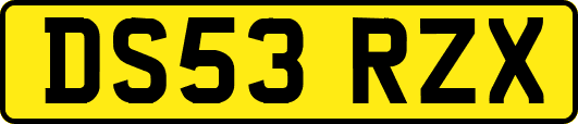 DS53RZX