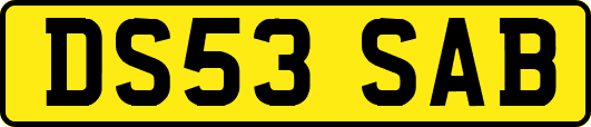 DS53SAB