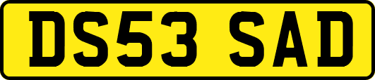DS53SAD