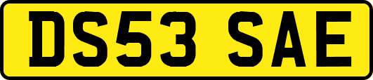 DS53SAE