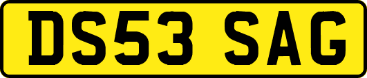 DS53SAG