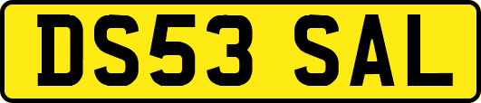 DS53SAL