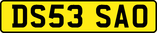 DS53SAO