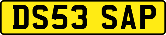 DS53SAP