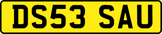 DS53SAU