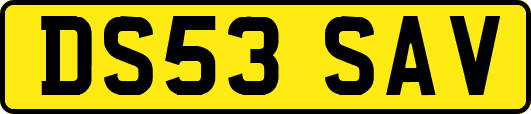 DS53SAV