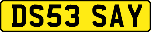DS53SAY
