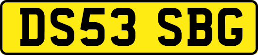 DS53SBG