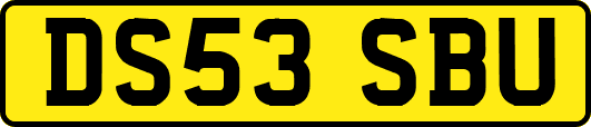 DS53SBU