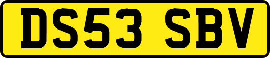 DS53SBV