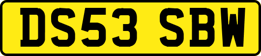 DS53SBW