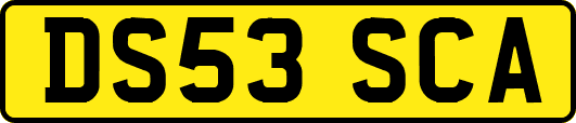 DS53SCA
