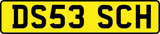 DS53SCH