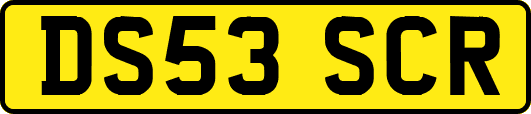 DS53SCR