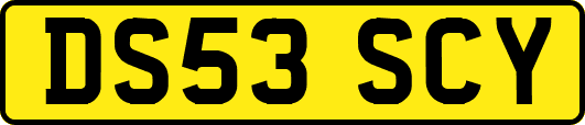 DS53SCY