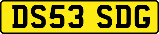 DS53SDG