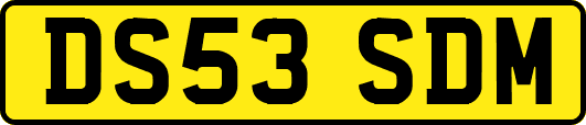 DS53SDM