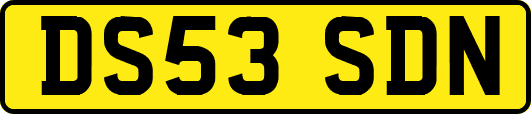 DS53SDN