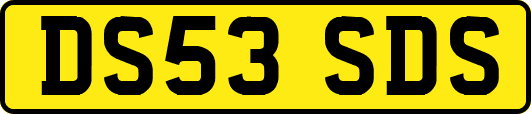 DS53SDS