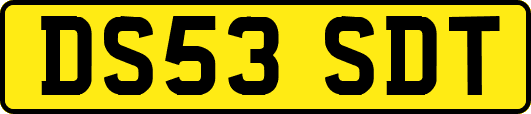 DS53SDT