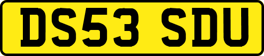 DS53SDU