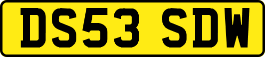 DS53SDW
