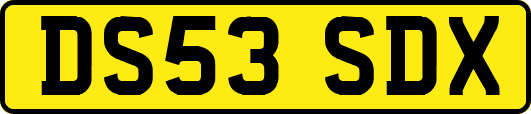 DS53SDX