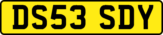 DS53SDY