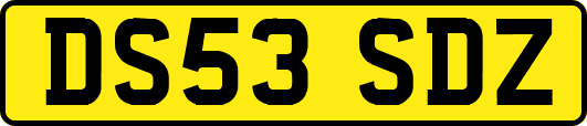 DS53SDZ