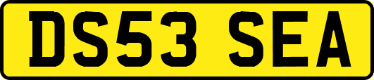 DS53SEA