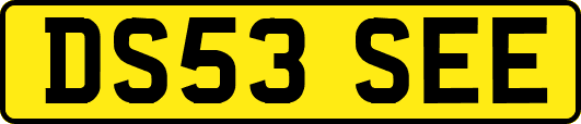 DS53SEE