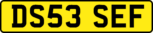 DS53SEF