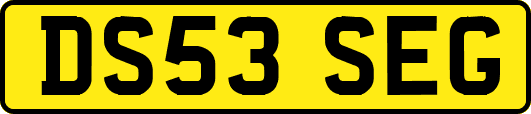 DS53SEG