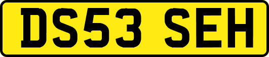 DS53SEH