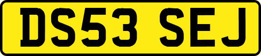 DS53SEJ