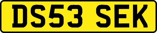 DS53SEK