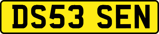 DS53SEN