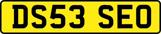 DS53SEO
