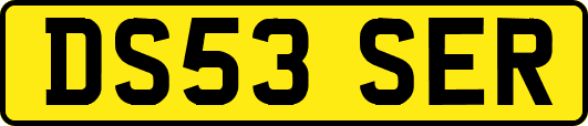DS53SER