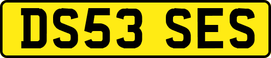 DS53SES