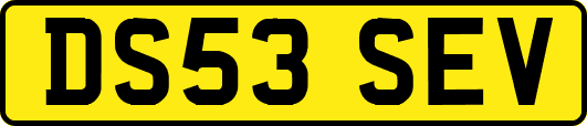 DS53SEV