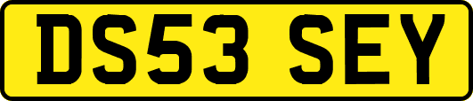DS53SEY