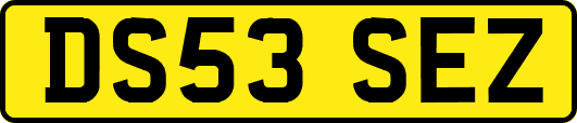 DS53SEZ
