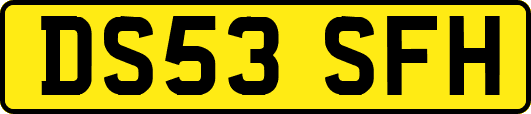 DS53SFH