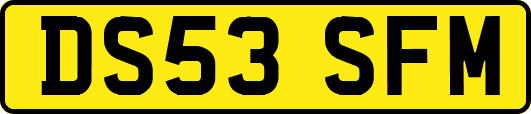 DS53SFM