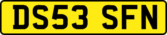 DS53SFN